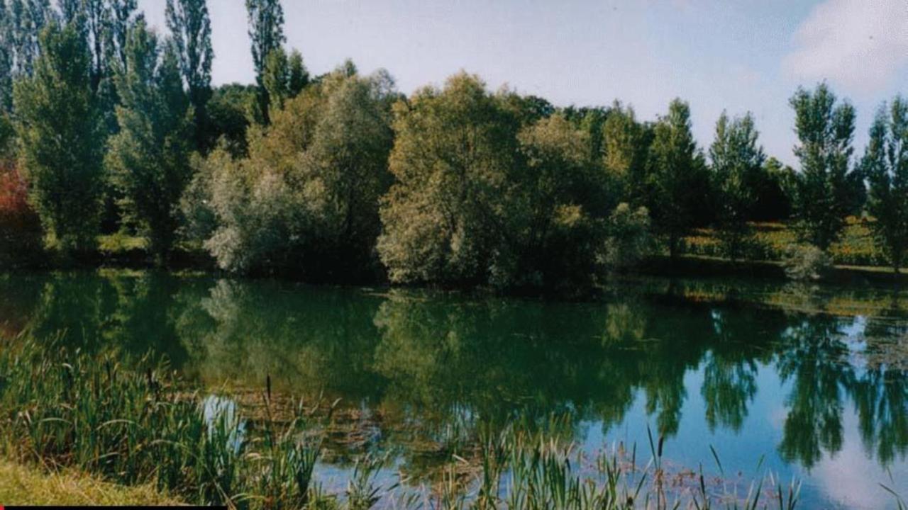 La Decouverte, Jacuzzi, Sauna, Et Terrasse Avec Vue Sur Lac A La Campagne Entre Toulouse Et Auch Catonvielle Exteriér fotografie