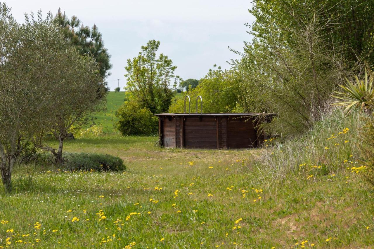 Vila La Decouverte, Jacuzzi, Sauna, Et Terrasse Avec Vue Sur Lac A La Campagne Entre Toulouse Et Auch Catonvielle Exteriér fotografie