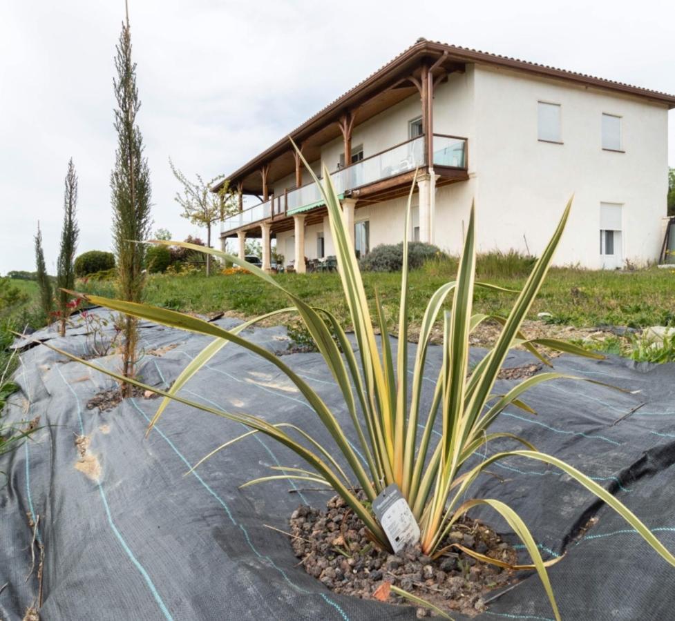 Vila La Decouverte, Jacuzzi, Sauna, Et Terrasse Avec Vue Sur Lac A La Campagne Entre Toulouse Et Auch Catonvielle Exteriér fotografie